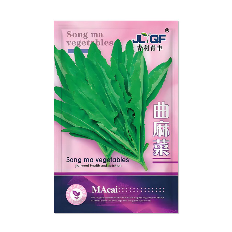 吉利青丰曲麻菜种子大叶苦麻菜
