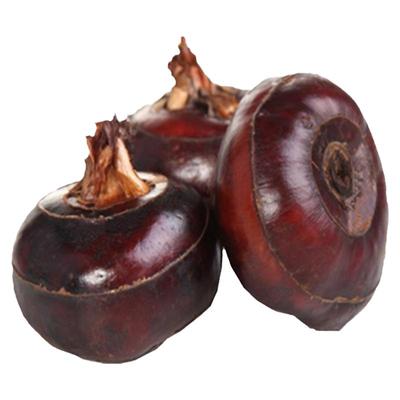 9年老店特大荔浦马蹄荸荠新鲜即食水果蔬菜甜脆饽荠广西桂林特产