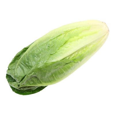新鲜包罗生菜500g包心罗纹
