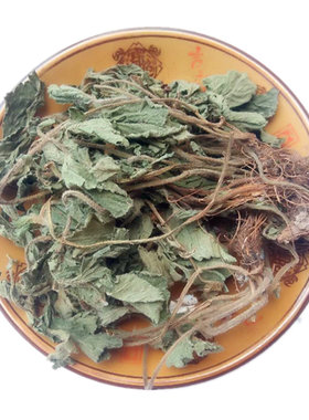 野生贵州头晕路边青水杨梅中药材