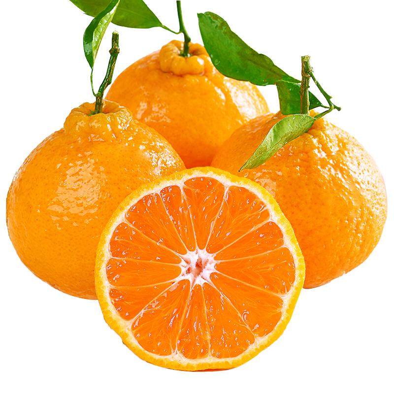 四川不知火丑橘水果新鲜整箱大果时令当季斤桔子耙耙粑粑丑柑橘子