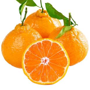 四川不知火丑橘水果新鲜整箱大果时令当季斤桔子耙耙粑粑丑柑橘子