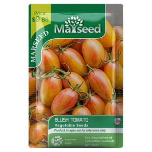 【官网高分】美国新品传家宝Blush腮红羞涩樱桃小番茄种子籽苗