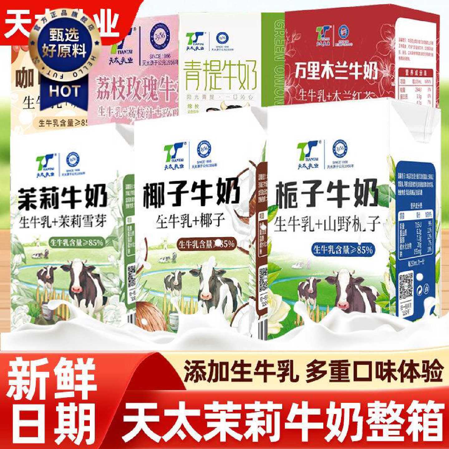 天太茉莉牛奶咖啡椰子栀子木兰红茶糯米香绿茶多口味风味早餐奶