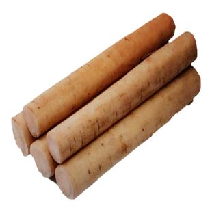 2025新鲜现挖牛蒡根特级东洋参蔬菜徐州两年生牛蒡根净重5斤包邮