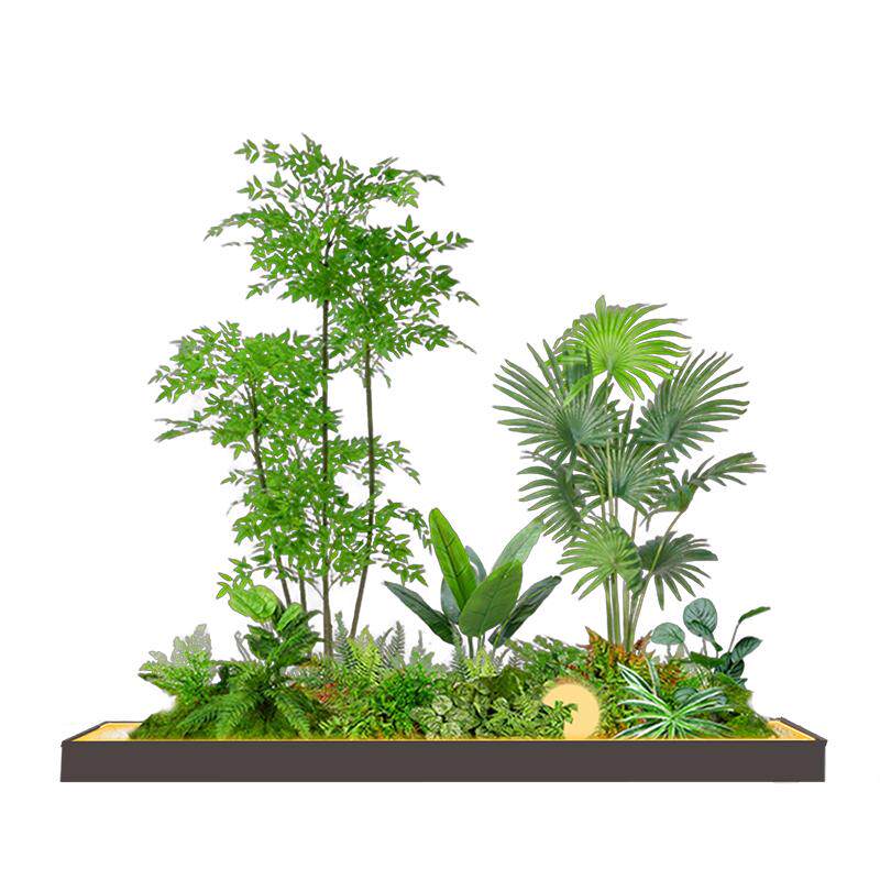 精品南天竹宋氏美学绿植造景