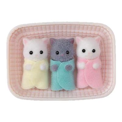 朴坊森贝儿家族波斯猫棉贵宾犬