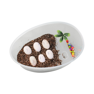 乌龟蛋可孵化盲盒儿童小学生10岁男孩玩具科学小实验套装五年级三