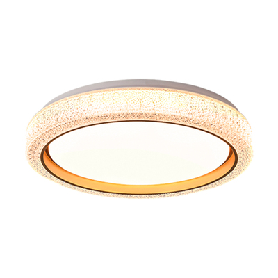 【国补15%】绿源卧室灯主卧2025新款年轻人轻奢高级感吸顶灯具18