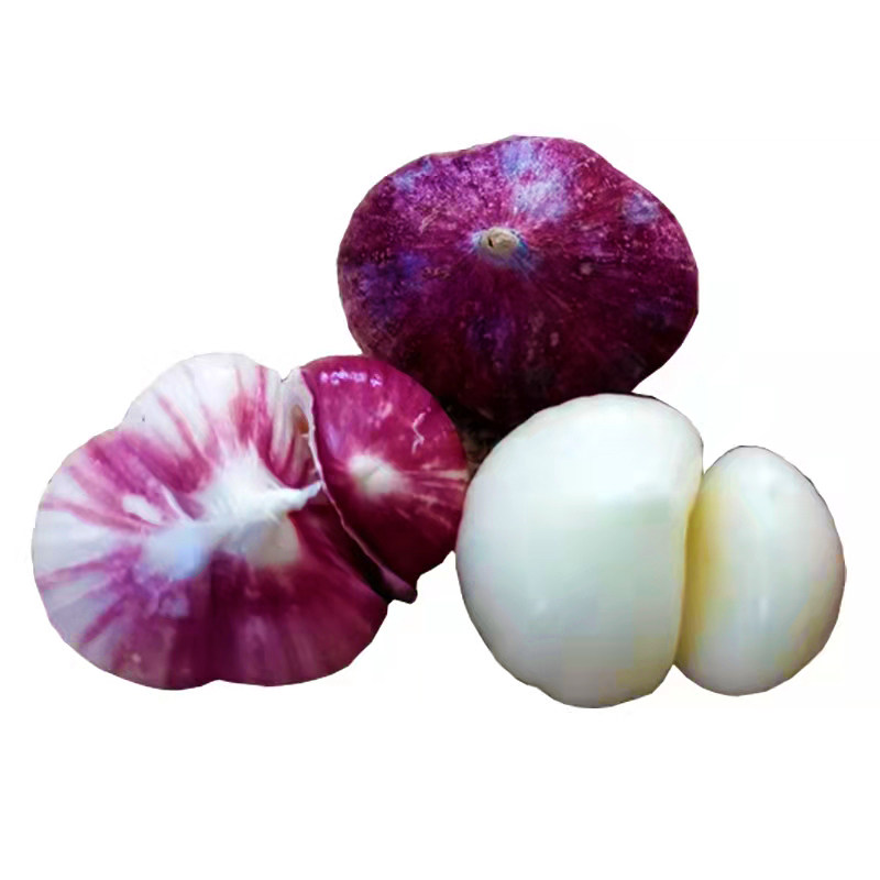 云南紫皮大蒜三丫蒜新蒜蔬菜