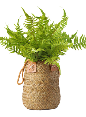 仿真蕨类植物墙壁挂户外绿植室内