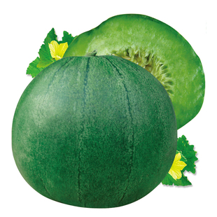 绿宝石羊角蜜超甜甜瓜种子春季四季蔬菜种孑香瓜种籽大全秧苗西瓜