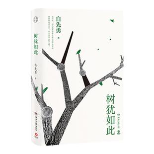 树犹如此 白先勇(白先勇亲定选本精装珍藏版)白先勇先生亲自审定的散文选集 代表作有寂寞的十七岁 台北人 纽约客 孽子 蓦然回首