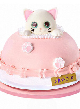 元祖猫咪女宝女生生日蛋糕上海杭州合肥南京芜湖铜陵苏州重庆同城
