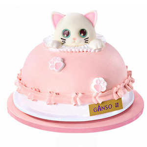 元祖猫咪女宝女生生日蛋糕上海杭州合肥南京芜湖铜陵苏州重庆同城