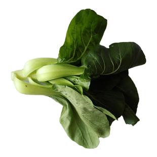 顺丰包邮 上霜青菜 霜冻青菜  霜冻苏州青 时令蔬菜新鲜软糯甜