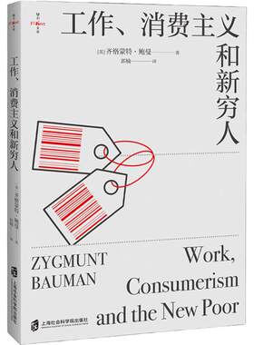 工作消费主义和新穷人社会书籍