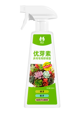 领沃多肉催芽爆芽培养多头株型