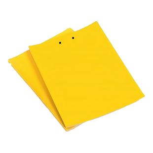 新款双面粘虫黄板诱虫板柑橘子树瓜果实蝇果园针蜂大棚蓟马苍蝇