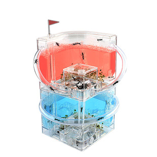 蚂蚁工坊宠物蚂蚁窝蚂蚁城堡蚂蚁家园蚁后别墅桌面生态蚁巢幼儿园