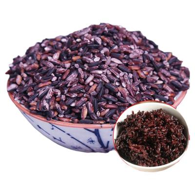 50斤散装云南特产食材批发紫糯米