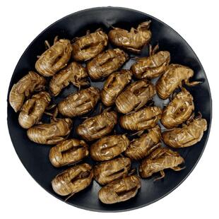 蝉蜕中药材500g克蝉衣蝉壳知了金蝉知了猴壳皮结了龟非野生蝉退粉