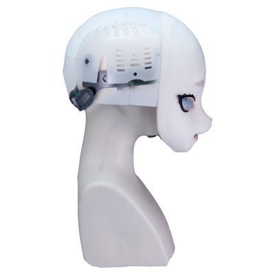 吾毒原创兽头后脑勺高颅顶超圆润