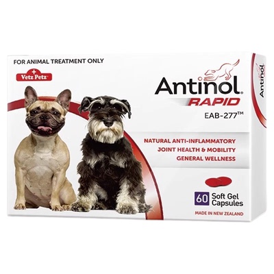 宠物保护骨关节焱腰椎骨刺安它诺