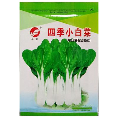 四季小白菜种子四季播种蔬菜20克
