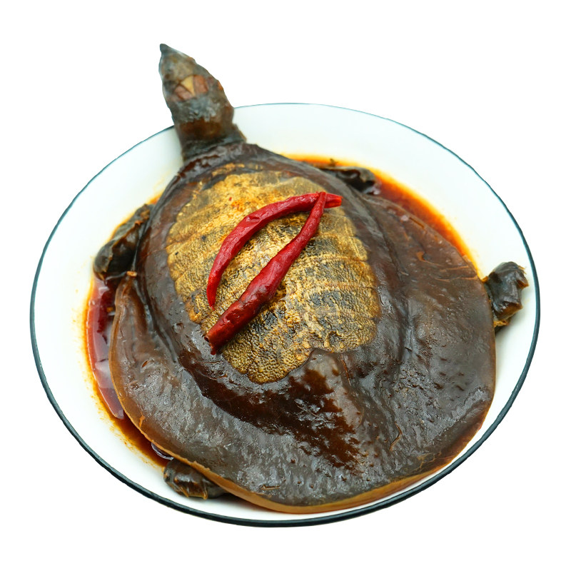 夏竺新鲜现卤麻辣甲鱼