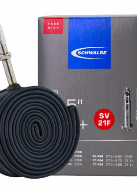 SCHWALBE世文自行车世文内胎