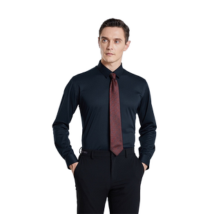 【三防免烫】SHANSHAN杉杉休闲衬衫男士秋季商务正装长袖抗皱衬衣