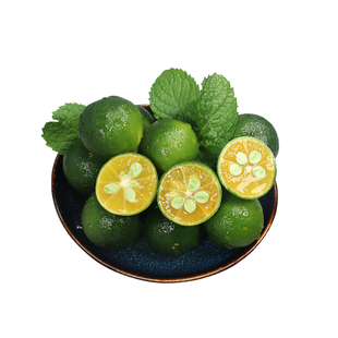 海南小金桔奶茶店专用青桔当季金桔新鲜薄皮青柠酸橘子整箱包邮