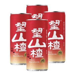 好望水果汁气泡水望山楂汁330ml*4罐果味饮料健康山楂饮品解腻