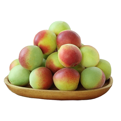 2026新鲜胭脂梅泡酒专用