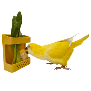 鹦鹉水果篮蔬菜架夹虎皮墨鱼骨框觅食玩具芦丁鸡鸟笼食盒小鸟用品