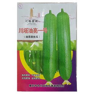 川塔油亮一号5g杂交高产大肉香丝瓜种子孑籽薄皮胜菜水瓜蔬菜甘香