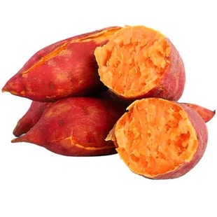 太便宜蜜薯新鲜超甜沙地红薯黄心板栗糖心番薯黄金蜜山芋地瓜