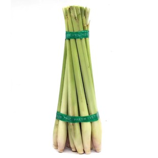 新鲜香茅草 泰国冬阴功汤料新鲜柠檬草香茅烤鱼调料香料500g