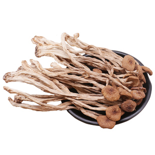 茶树菇干货不开伞500g广昌新鲜茶树菇菌菇蘑菇食用菌香菇类煲汤料