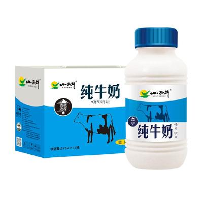 小西牛乳制品243ml×12瓶