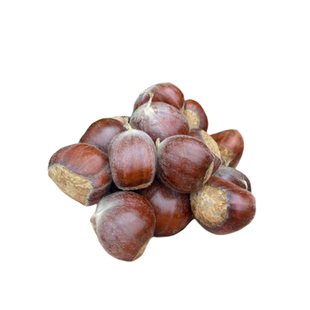 2025现摘新鲜山东油栗五莲野生栗子高山油栗小毛栗粉糯甜圆尖板栗