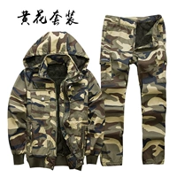 Huanghua Plus Velvet Jet [One -Piece Velvet]