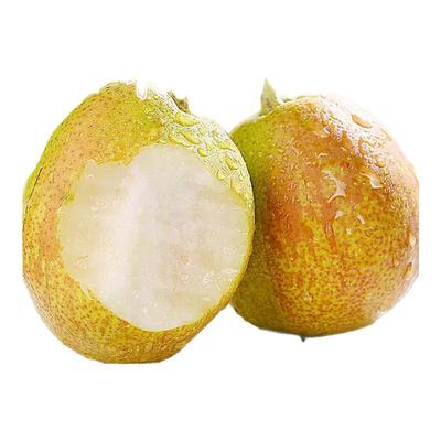 新疆库尔勒香梨全母梨顺丰包邮