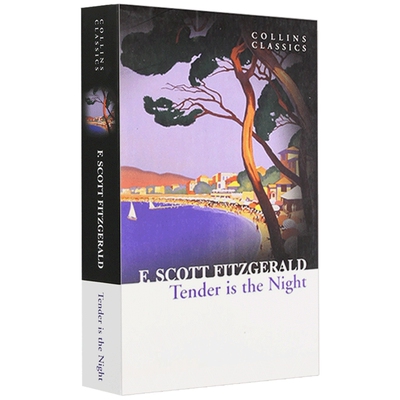 夜色温柔英文原版小说