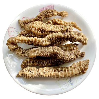 无硫熏地参云南虫草参干货竹节参 滋补养生石蚕草 煲汤泡酒养生茶