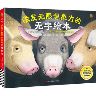 激发无限想象力的无字绘本(全4册) 让孩子自己想自己讲,天马行空的孩子思维更活跃读客官方正版图书儿童绘本凯迪克大奖D5