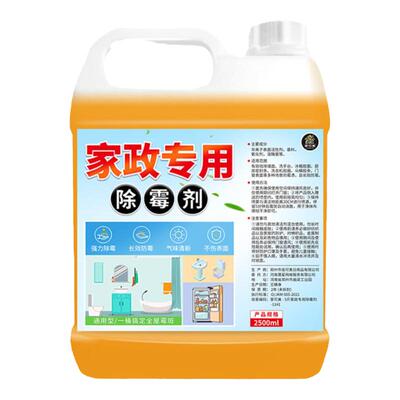 除霉剂去霉斑霉菌墙体