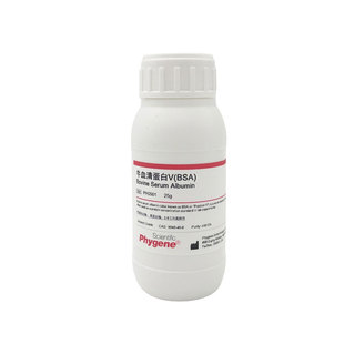 牛血清白蛋白V 试剂 Bovine Serum Albumin BSA 组分五 PH0501