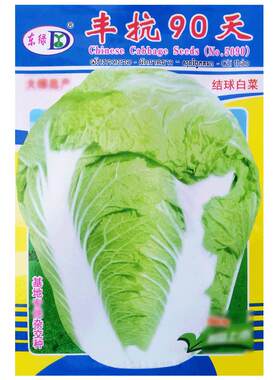 丰抗90天结球白菜种子大颗白菜籽